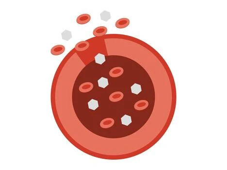 Platelet Function Testing Explained: When and Why It’s Performed